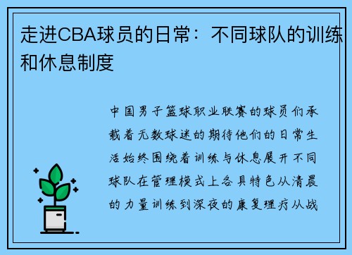 走进CBA球员的日常：不同球队的训练和休息制度